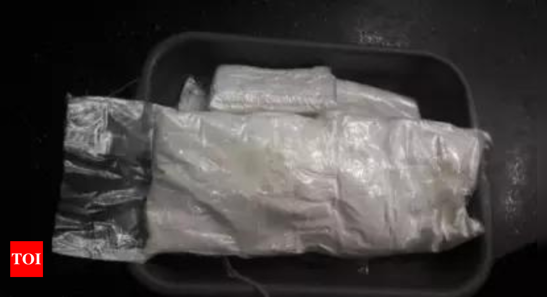 Second major drug bust this week in Delhi: Police seize 200 kg of cocaine worth Rs 2,000 crore | India News – Times of India