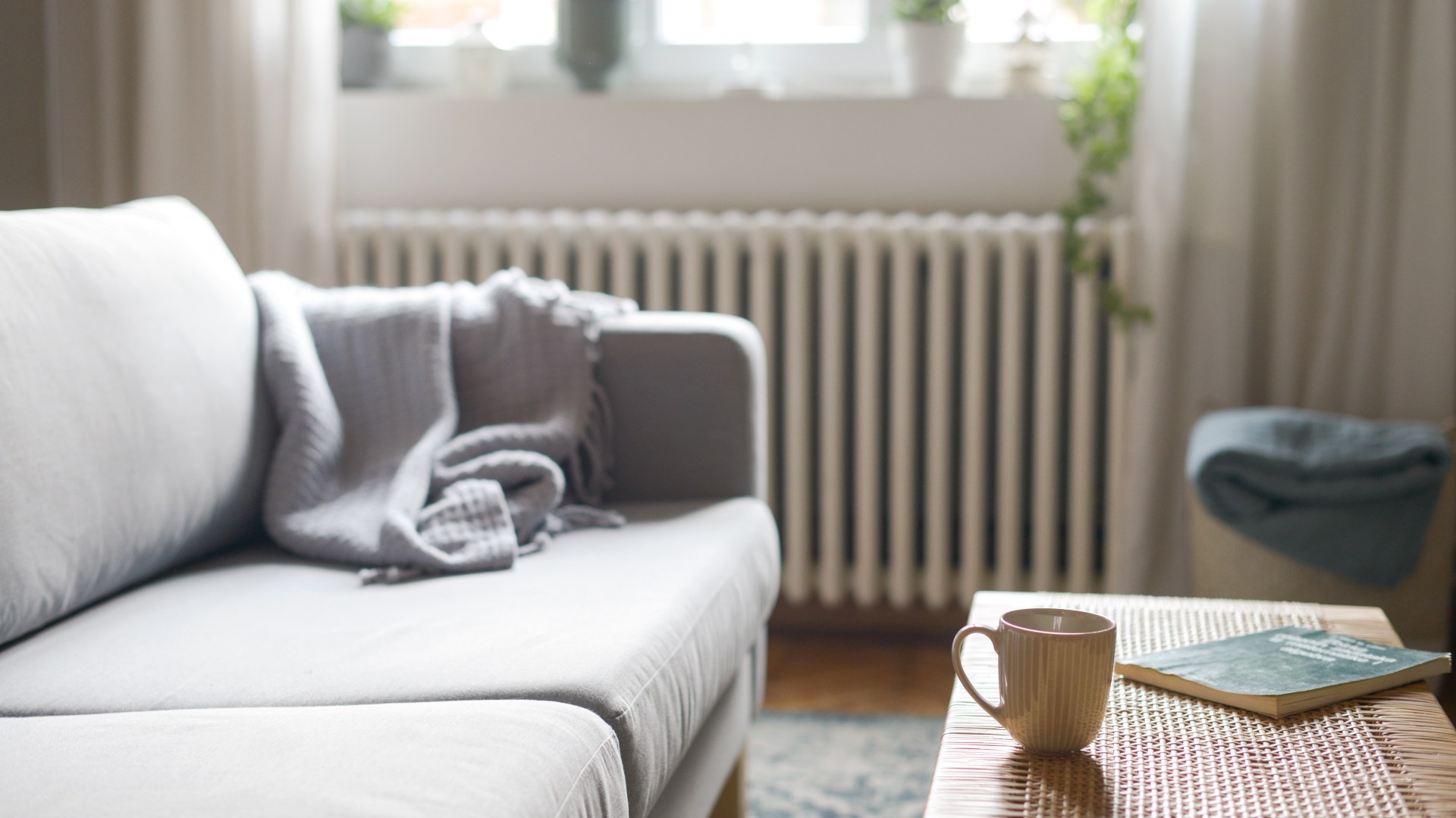 The FREE way to keep your home warm without turning on the heating