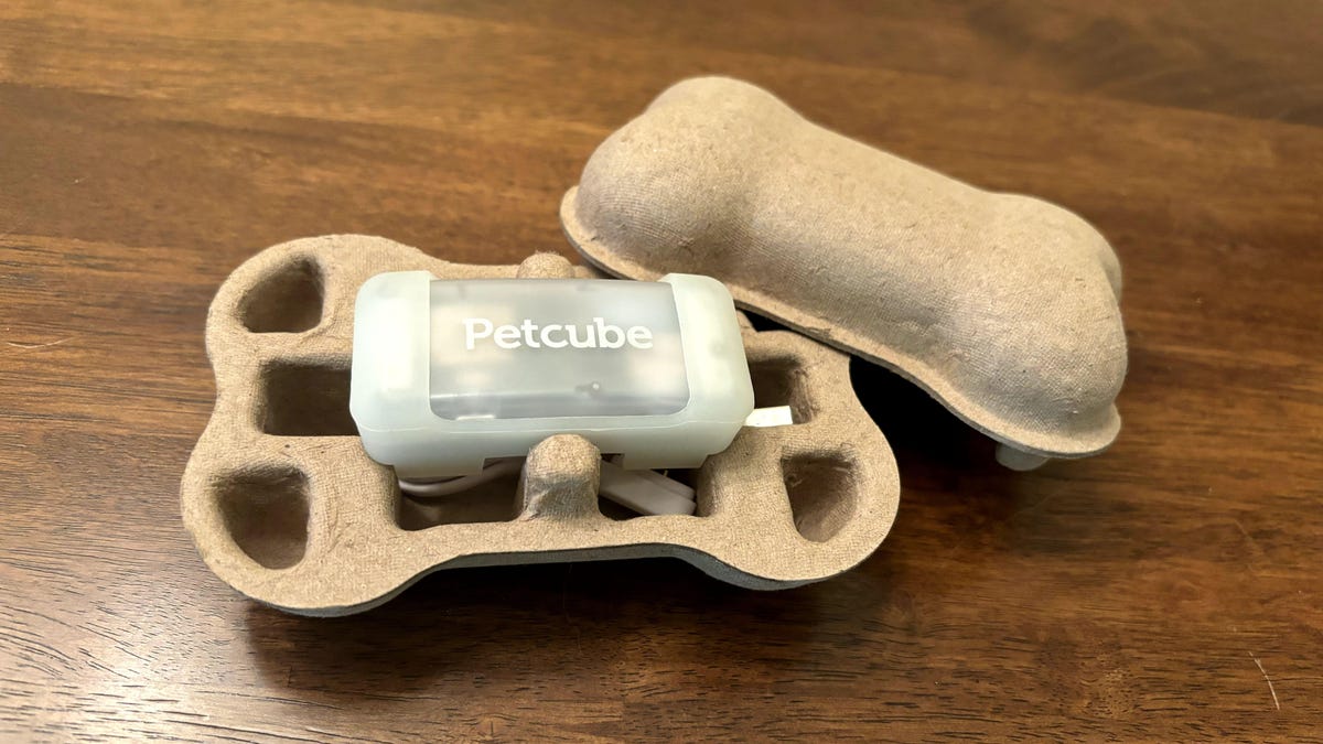 The Glowing Pet Tracker from PetCube is an interesting collar upgrade