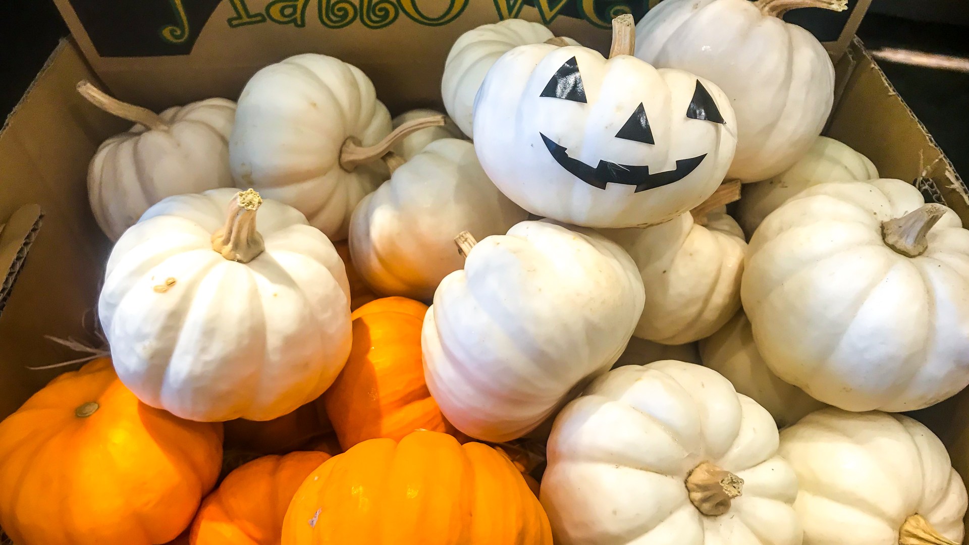 The exact time to buy a pumpkin for Halloween and when to carve it, reveals pro