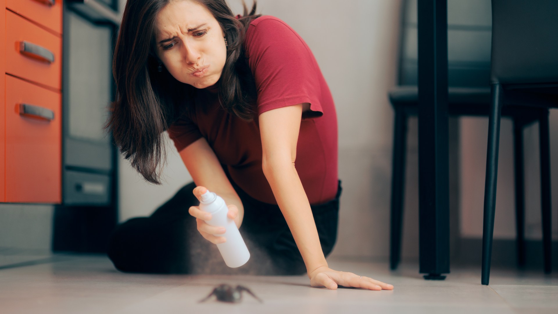 The five areas of your home you need to pest-proof now