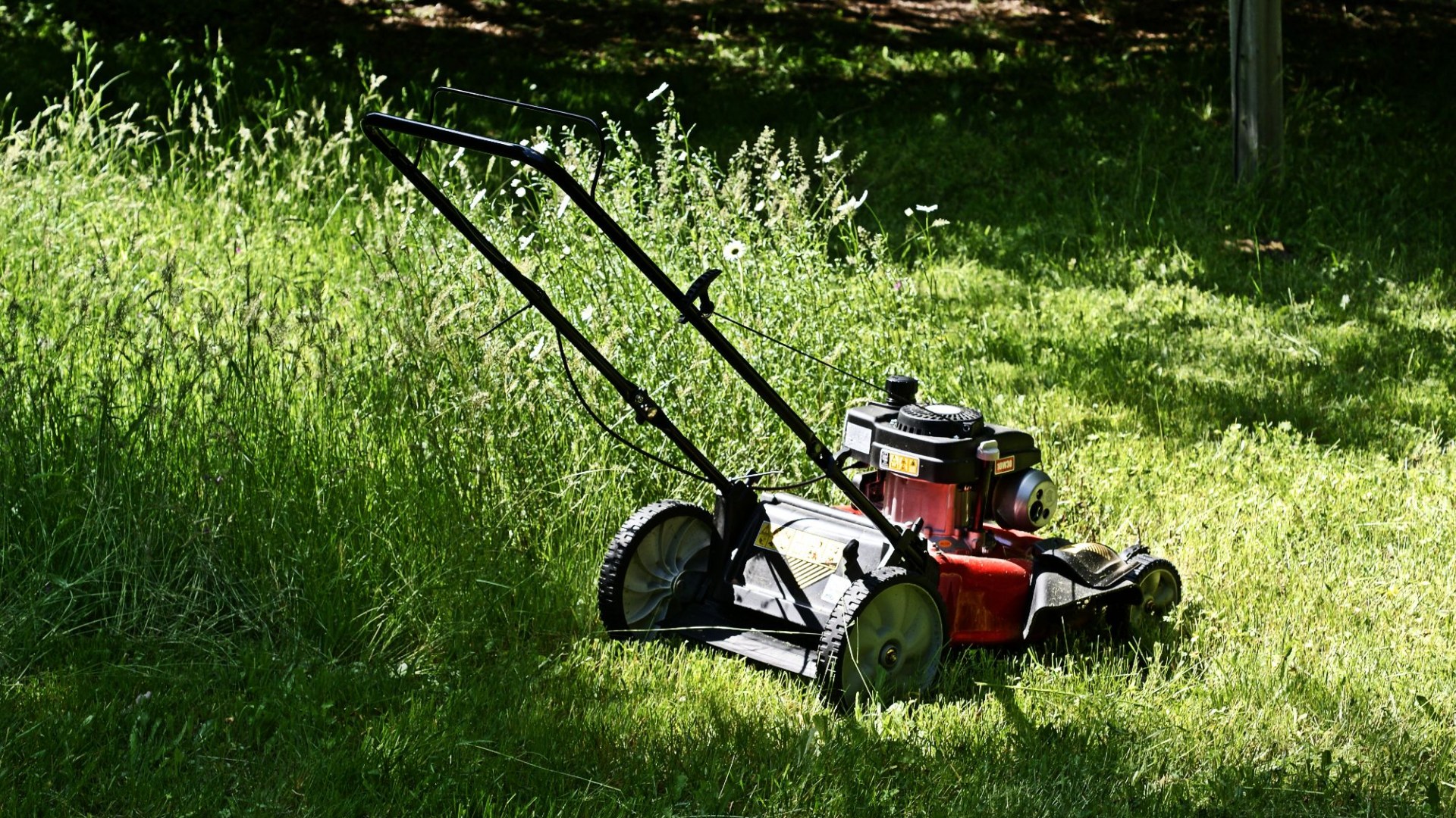 When to stop mowing your lawn this winter, depending on where you live in the UK