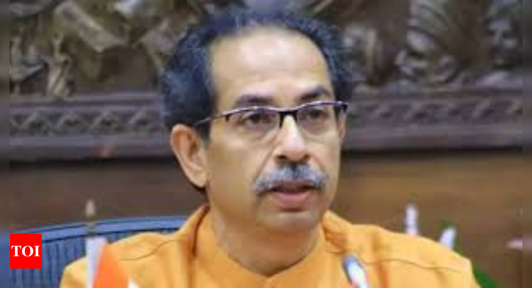 ‘Will support any CM face who…’: Uddhav Thackeray on CM candidate ahead of Maharashtra assembly elections | India News – Times of India