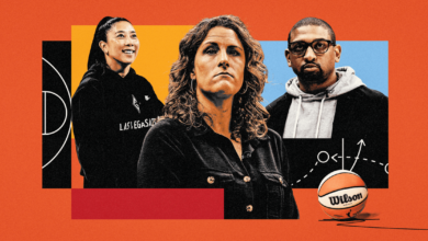 Why is it so hard to find a WNBA coach? The reasons behind the lack of candidates