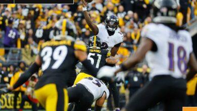 What we learned in NFL Week 11: Bills get gutsy, Steelers make a statement