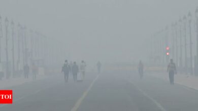 5 days and counting: the longest ‘severe air’ streak in 3 years | India News – Times of India