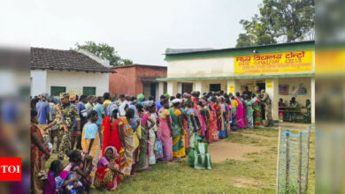 66.5% vote in first phase of Jharkhand polls; in 2019 it was 63.7% | India News – Times of India