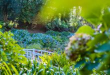 Inside the beautiful Cornish lodge with out-of-hours access to one of England’s most beautiful gardens – and a secret beach