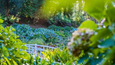 Inside the beautiful Cornish lodge with out-of-hours access to one of England’s most beautiful gardens – and a secret beach