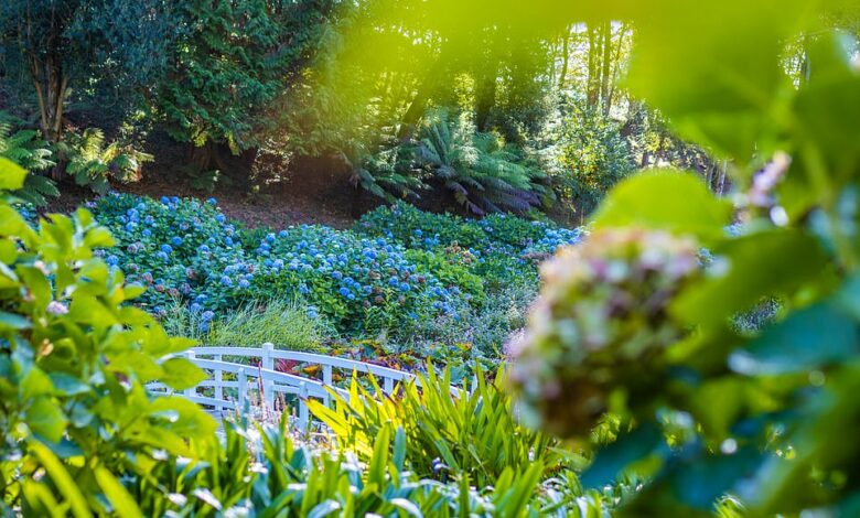 Inside the beautiful Cornish lodge with out-of-hours access to one of England’s most beautiful gardens – and a secret beach