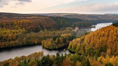 Twelve breathtaking pictures of Britain smothered in autumn colours, from meandering rivers to magical tree ‘tunnels’ and spectacular Highland valleys