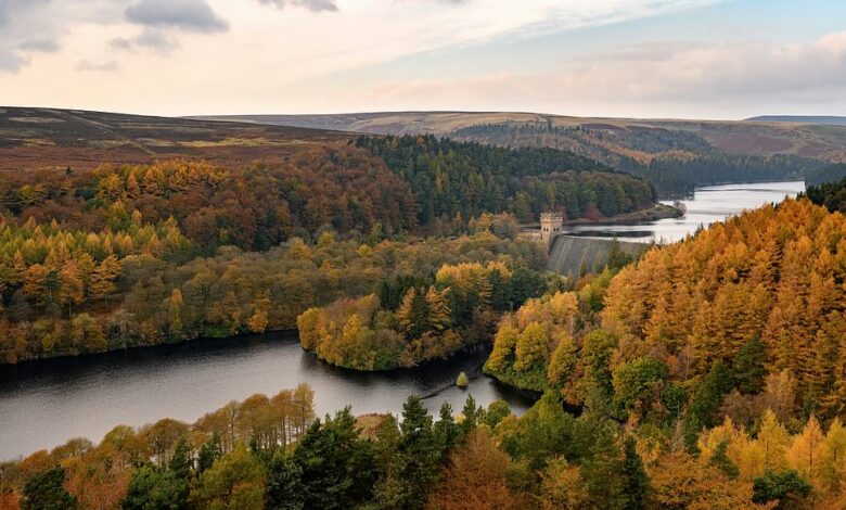 Twelve breathtaking pictures of Britain smothered in autumn colours, from meandering rivers to magical tree ‘tunnels’ and spectacular Highland valleys