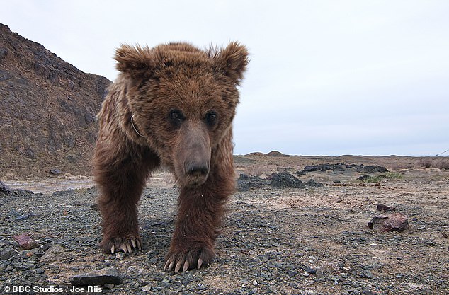 Take a sneak peek at Sir David Attenborough’s latest series: from one of the world’s rarest birds to a never-before-seen critically endangered species