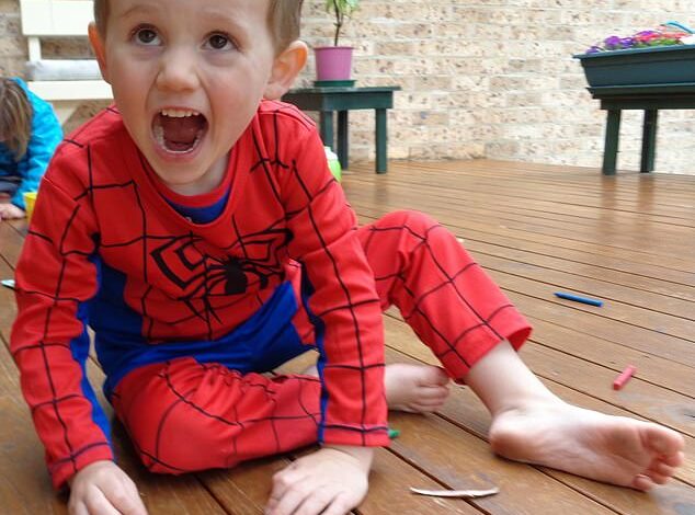 The devastating theory that detectives say solves the William Tyrrell mystery – and why he’s still never been found, ten years after his disappearance