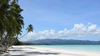 An Aussie cruise ship passenger drowns near the island of Boracay