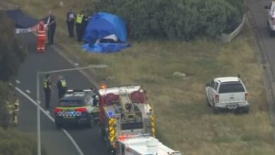 Tragedy where driver is killed by an object falling from the back of a truck on Melbourne’s highway