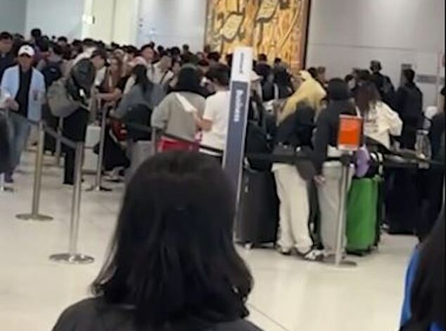 Delays at Sydney, Melbourne airport after major customs disruption: what you need to know