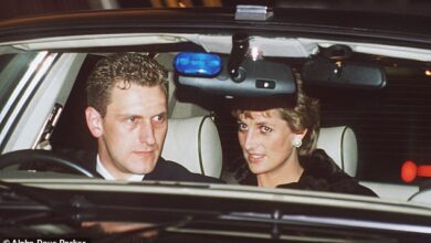 He was Diana’s steadfast chauffer who shared her darkest days. Now STEVE DAVIES breaks his silence and says: ‘If I’d been driving Diana in Paris she would still be here.’