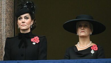 Brave Kate Middleton watches on as dutiful Prince William and King Charles lay wreathes at emotional Remembrance Sunday memorial service – as the nation falls silent in tribute to the glorious dead