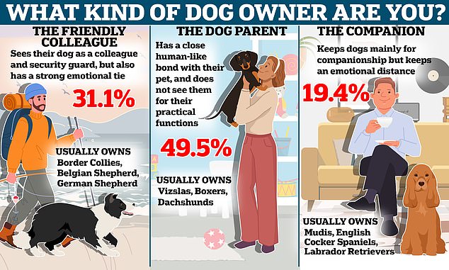 What kind of dog owner are YOU? Scientists say all dog parents fit into three different categories