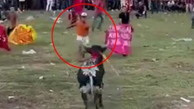 Horrifying moment: Thrill-seeker is killed instantly in a failed attempt to jump over a raging bull during a traditional festival