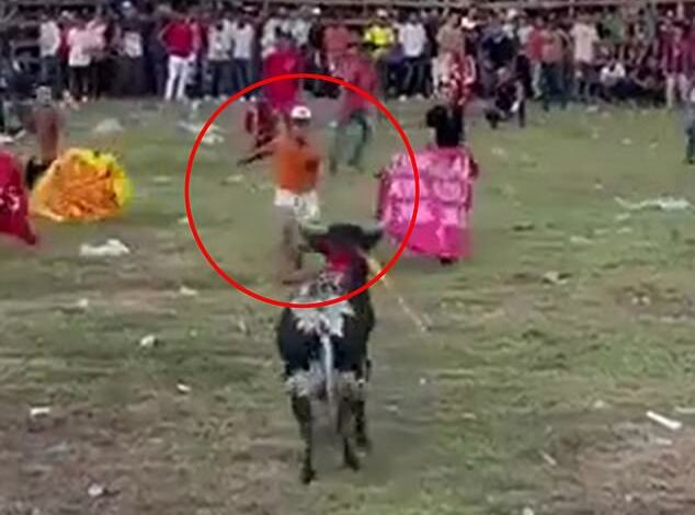 Horrifying moment: Thrill-seeker is killed instantly in a failed attempt to jump over a raging bull during a traditional festival