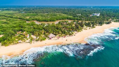 It’s safe, the nature is amazing and the locals love tourists: my incredible holiday on Sri Lanka’s bountiful south coast