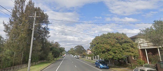 L-plater has been handed a huge fine after doubling the speed limit and crashing into a house in Sydney