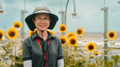 Meet the people who make Singapore Changi Airport one of the best in the world, from gardeners who tend 700,000 plants and 800 BUTTERFLIES to the team who create ‘wow’ moments