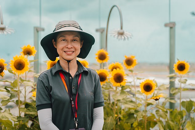 Meet the people who make Singapore Changi Airport one of the best in the world, from gardeners who tend 700,000 plants and 800 BUTTERFLIES to the team who create ‘wow’ moments