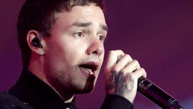 Liam Payne’s final journey: One Direction star is bid farewell at a funeral in Home Counties today, with all his former bandmates expected to pay their respects