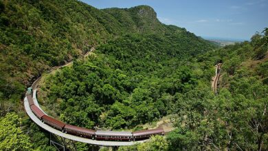 My ride on the incredible Australian train that winds through lush rainforest to a station where PYTHONS glide across the platform… here are my images