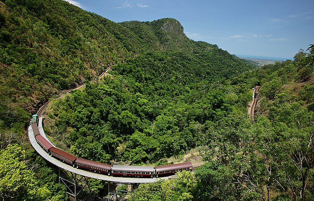 My ride on the incredible Australian train that winds through lush rainforest to a station where PYTHONS glide across the platform… here are my images