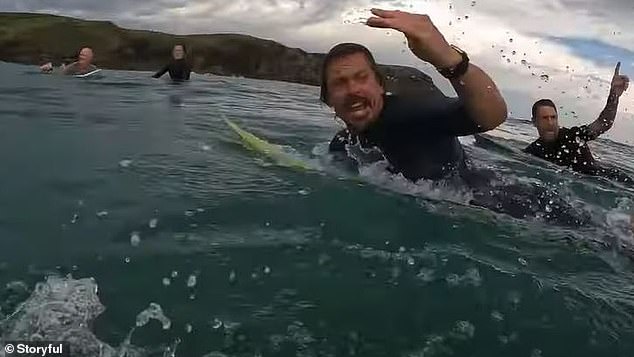 Surfer’s terrifying close call is surrounded by monster sharks near Shelly Beach, Coffs Harbour