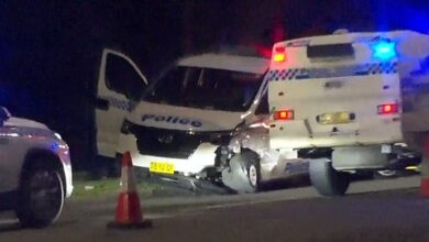 Dramatic police chase turns violent when officer is stabbed in Western Sydney