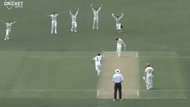 Watch as the Australian cricket paceman suffers a bizarre injury while celebrating two quick wickets with teammates