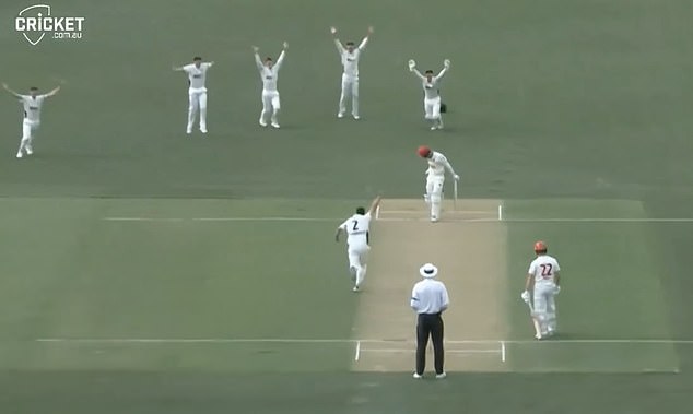 Watch as the Australian cricket paceman suffers a bizarre injury while celebrating two quick wickets with teammates