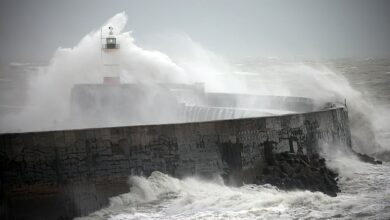 Flash floods in Britain: The moment raging floodwaters envelop a town in seconds as Storm Bert causes travel chaos and death toll rises to five