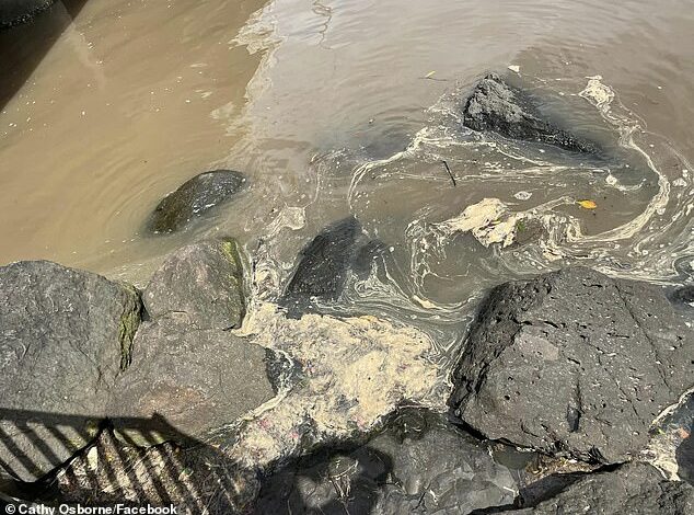 Popular Gold Coast swimming spot Tallebudgera Creek was closed after disgusting discovery