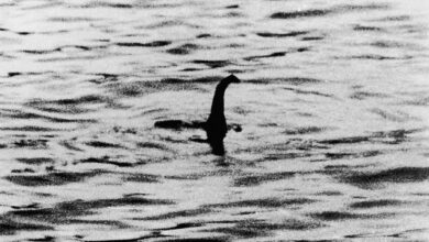 The mystery of the Loch Ness Monster may finally be solved – expert claims he has a simple explanation for the mythical beast’s sightings