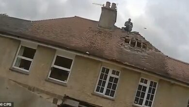 Moment man climbed onto roof and threw tiles at neighbors ‘as he ‘systematically destroyed’ two houses during a seven-year fight over a fence’