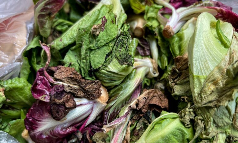 How to keep your salad greens from turning liquid in the refrigerator