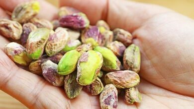 A feast for the eyes… Eating pistachios every day can help you maintain your eyesight in old age, research shows