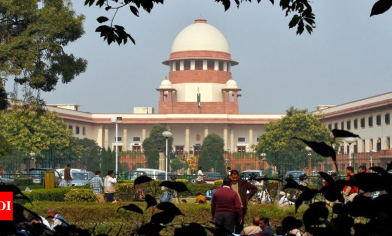 A year-long fireworks ban? Supreme Court asks Delhi for decision | India News – Times of India