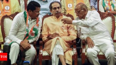 After ‘Maha’ bashing, Sena (UBT) leader hints at party going solo in future polls | India News – Times of India