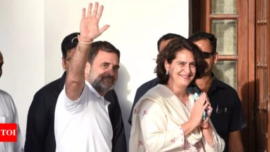 Ahead of Wayanad poll, EC seizes food packets with photos of Priyanka and Rahul | India News – Times of India