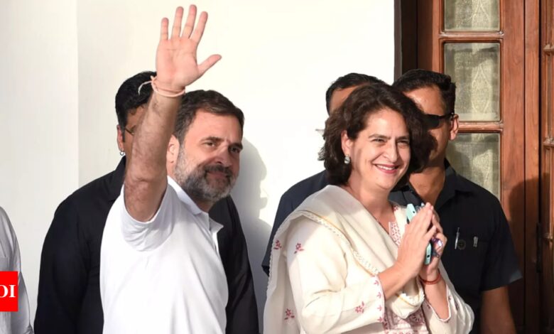 Ahead of Wayanad poll, EC seizes food packets with photos of Priyanka and Rahul | India News – Times of India