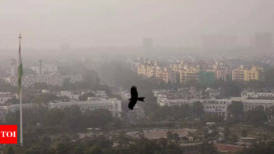 Air pollution: GRAP-4 measures, except for schools, to continue in Delhi-NCR till December 2, says SC | India News – Times of India