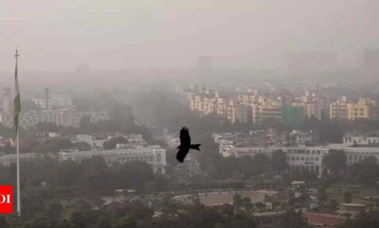 Air pollution: GRAP-4 measures, except for schools, to continue in Delhi-NCR till December 2, says SC | India News – Times of India