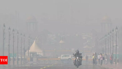 Air pollution in Delhi: SC flags ‘abject failure’ in GRAP-4 implementation, warns of ‘satellite scam’ | India News – Times of India